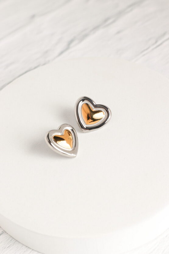 Cuore Two Tone Σκουλαρίκια Stainless Steel